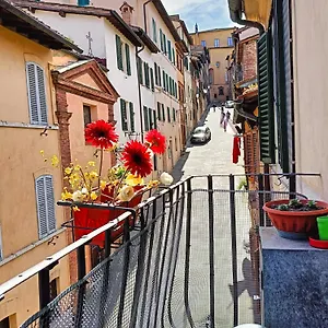  Apartamento La Campanina-nel Cuore Di E Della Contrada